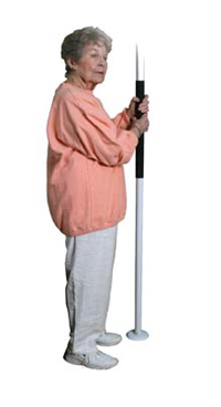 E-Z Assist Pole